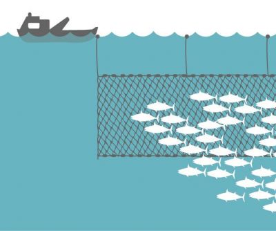 Meeting on automated system for anchored gill net fishery will be