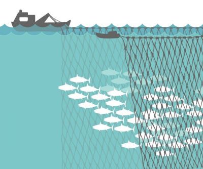 Plastic Pollution - Sustainable Fishing Products to Prevent Bycatch