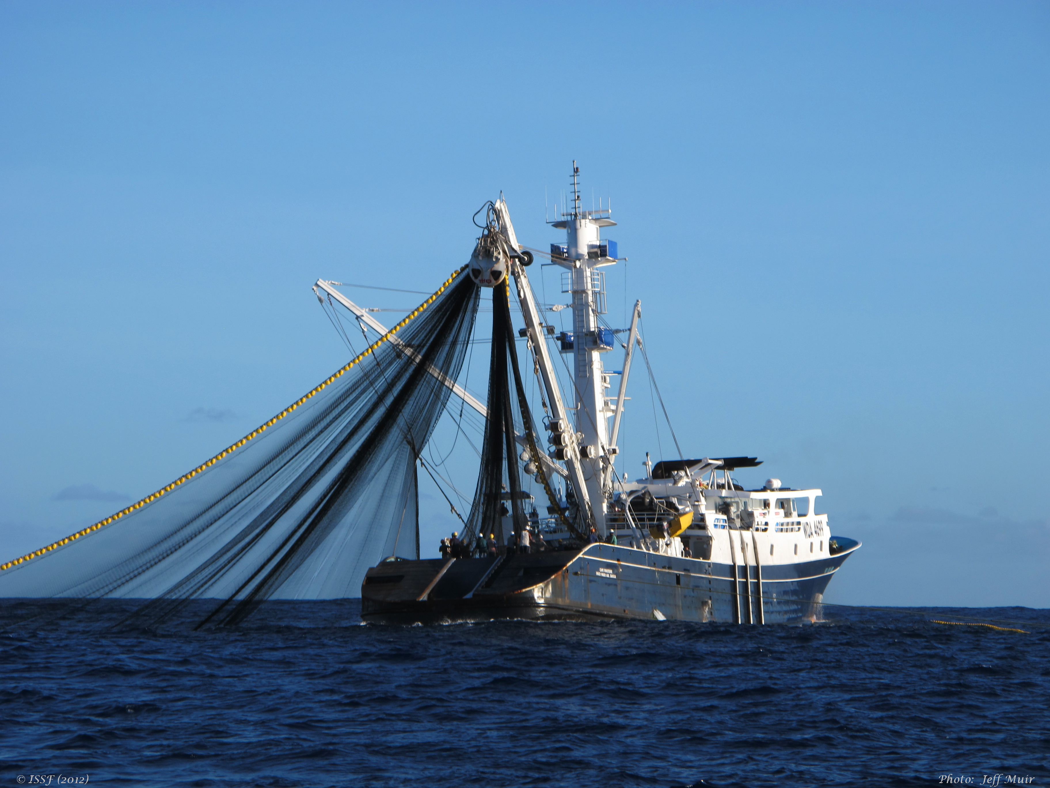 UPDATED Snapshot of Tuna Purse Seine Fishing Fleets | BLOG: Better  Designed, Better Managed FADs - International Seafood Sustainability  Foundation