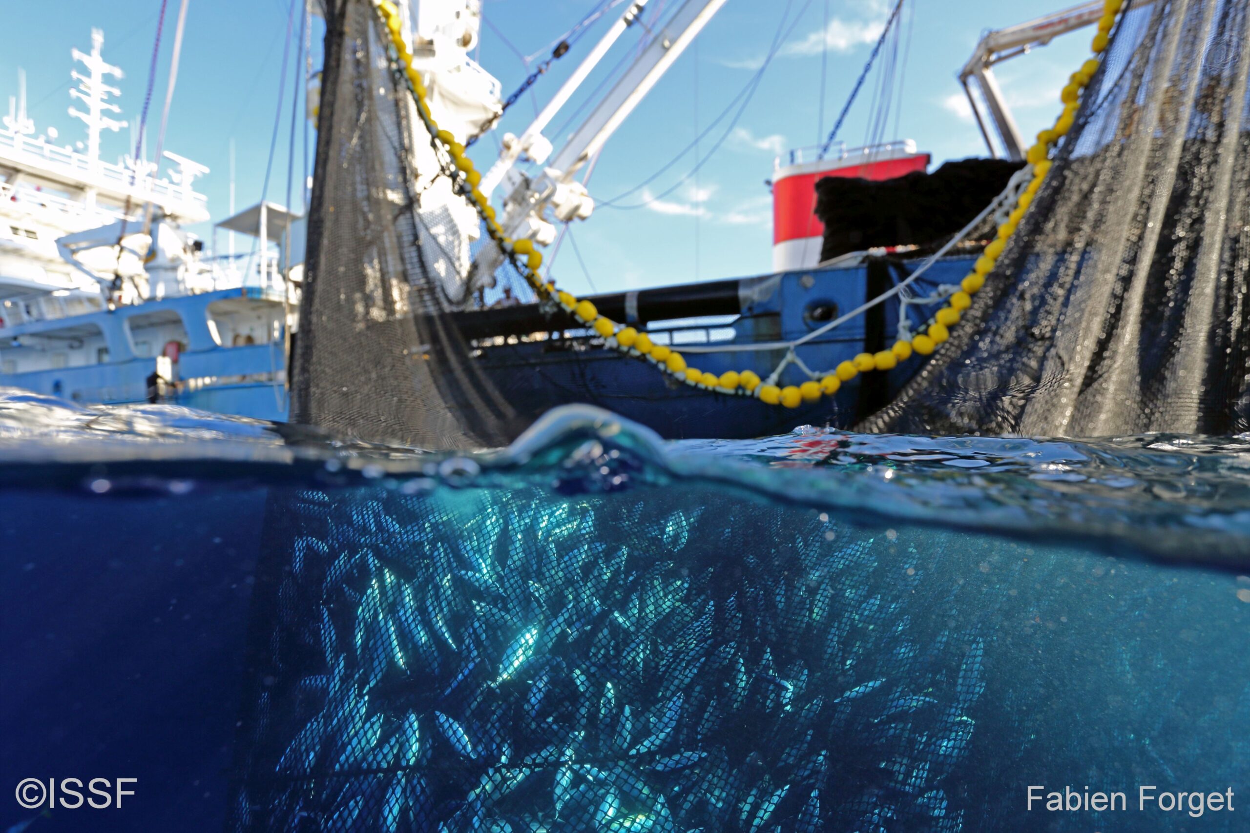 Ring net - International Seafood Sustainability Foundation