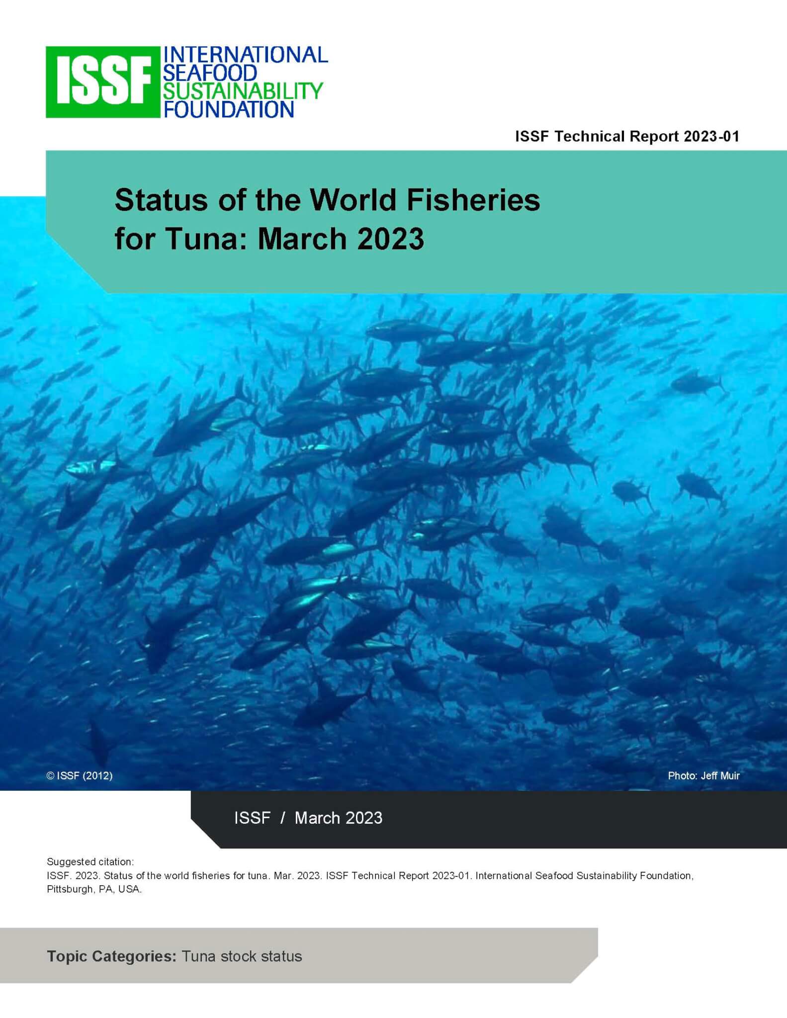 Small-scale tuna fishermen in Luzon obtain international sustainability  certification - BusinessWorld Online